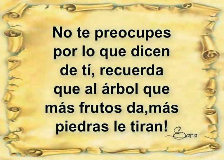 Frases del día