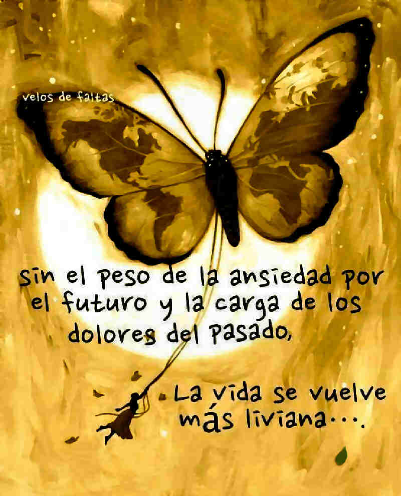 Frases del día