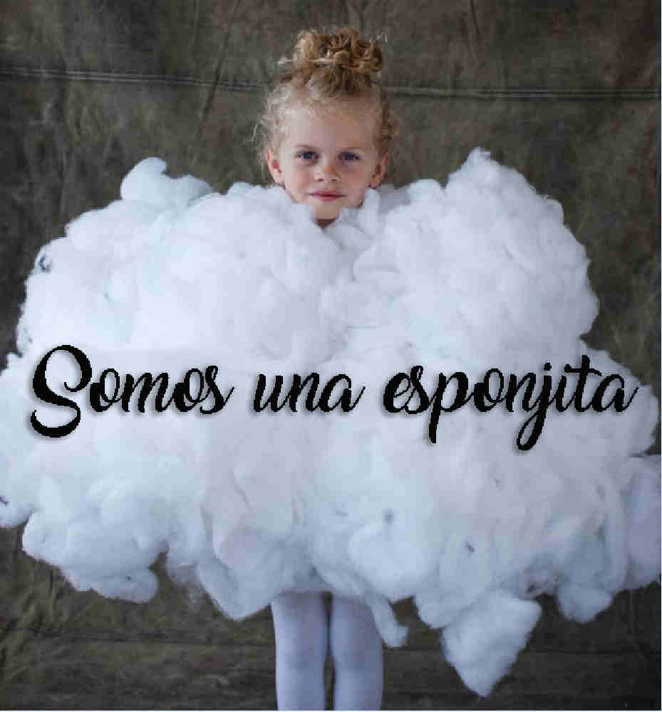 Somos esponjita