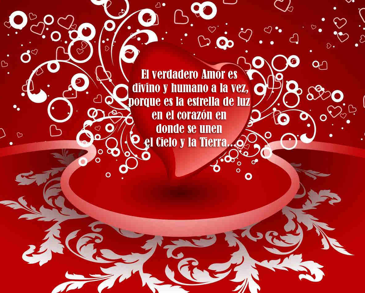 Amor es