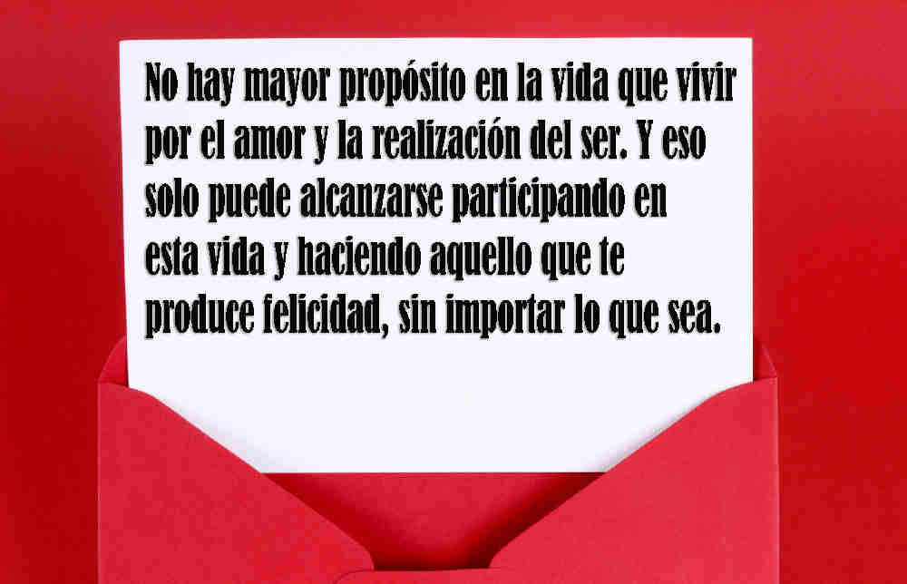 Amor es