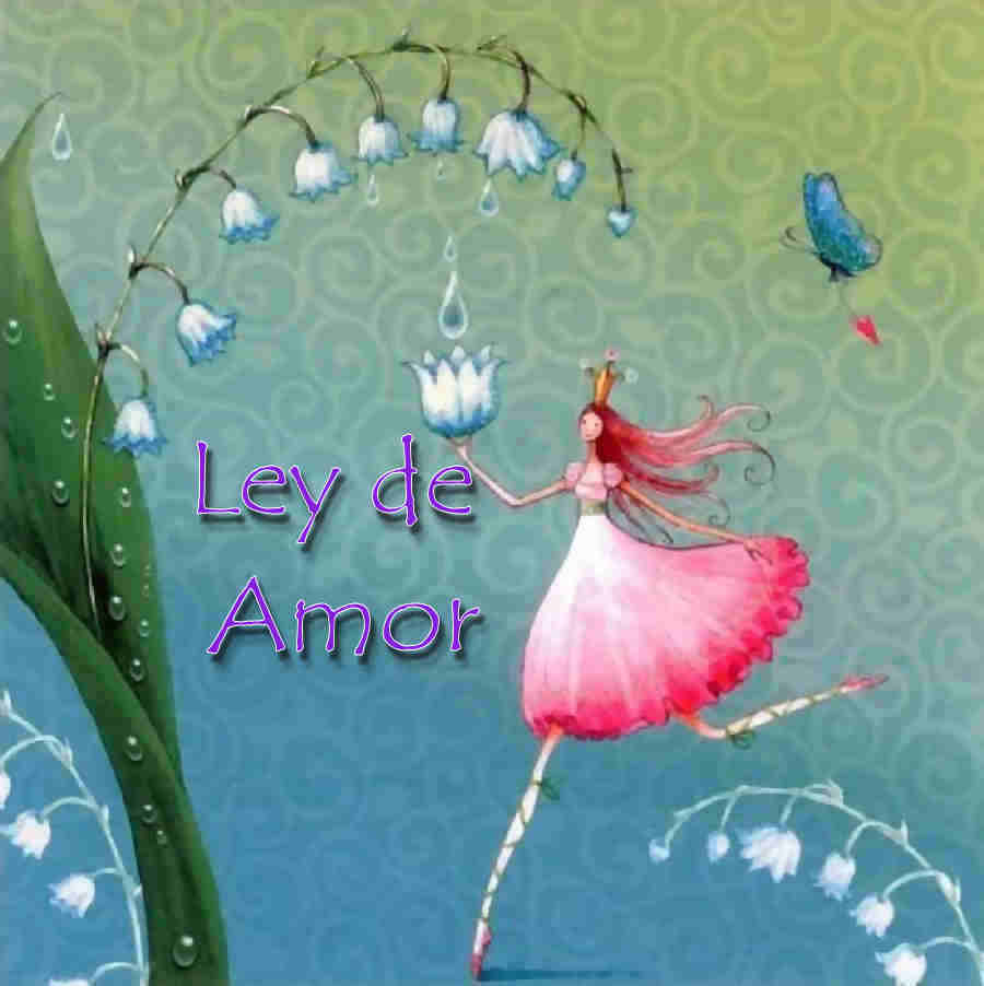 Ley de amor