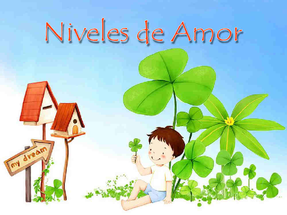 Niveles de Amor