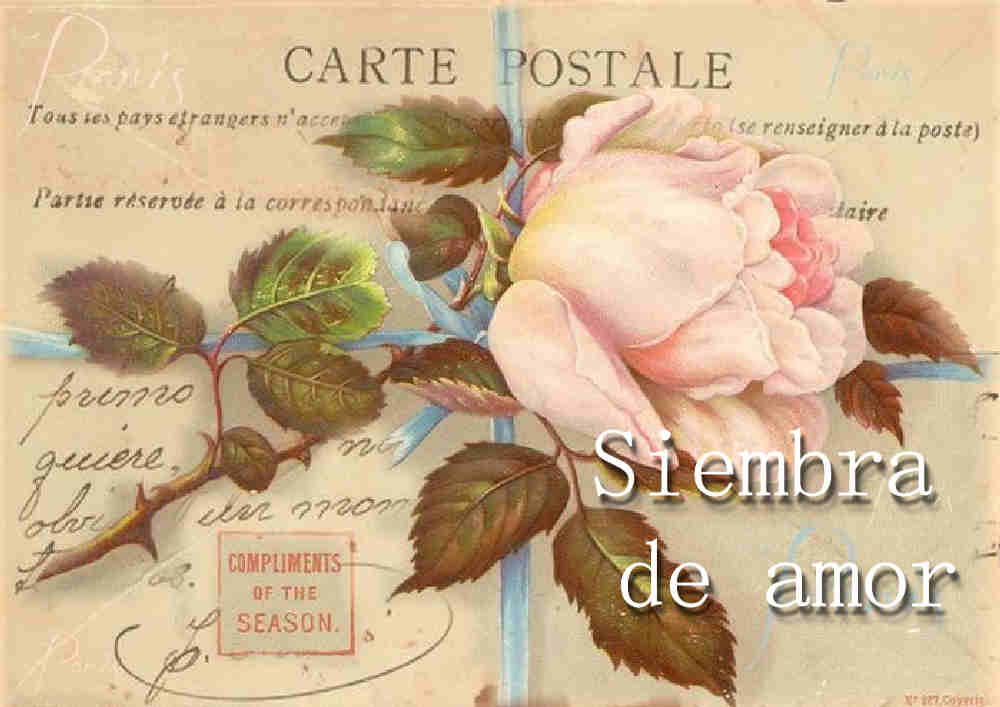 Siembra de amor