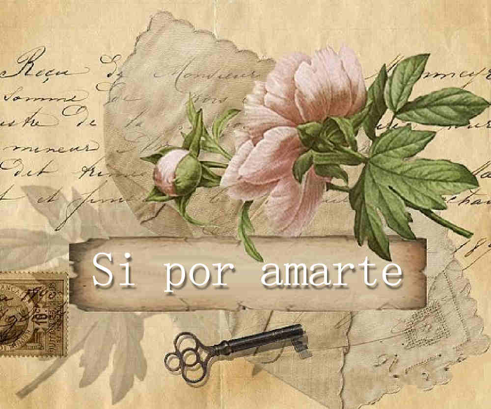 Si por amarte