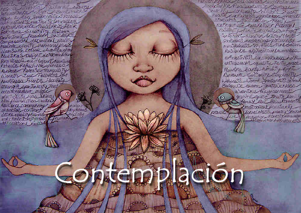 Contemplación