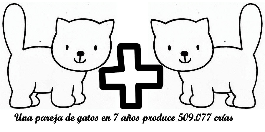 Cuidemos nuestras mascotas