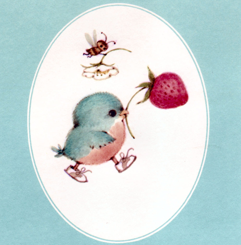 pajarito x