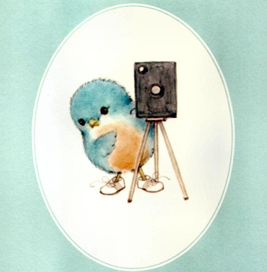 pajarito