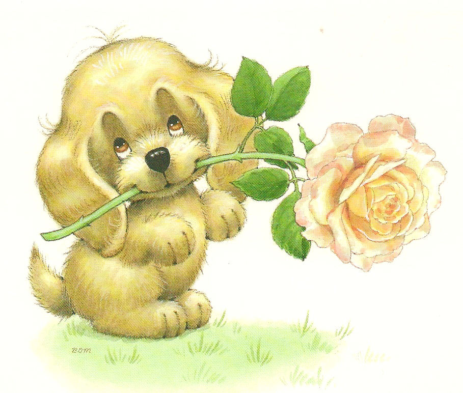 pupy