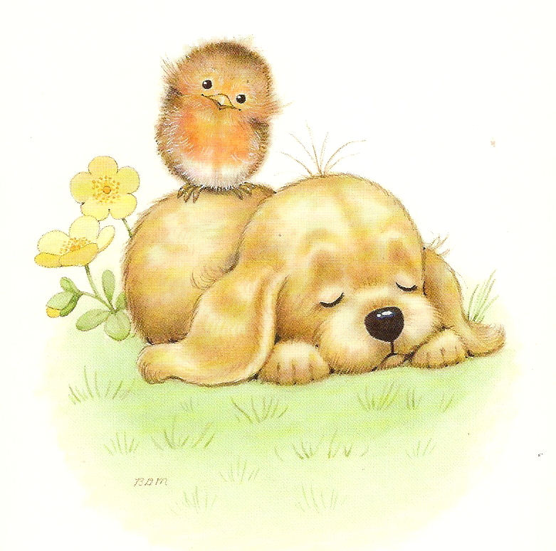 pupy
