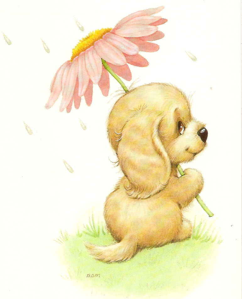 pupy