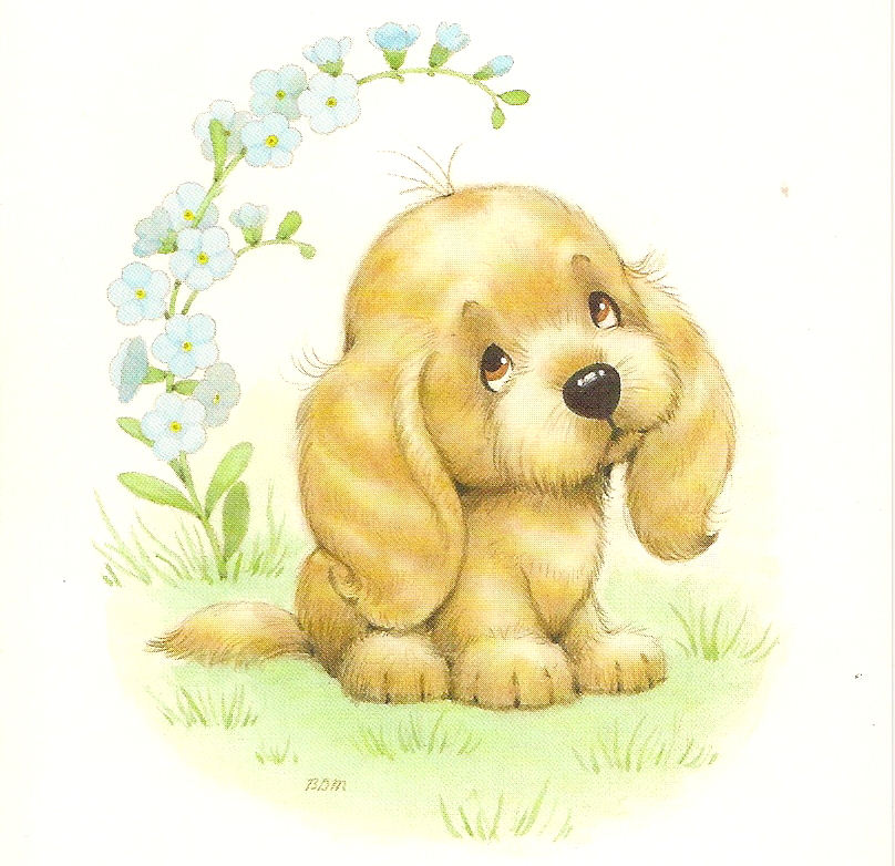 pupy