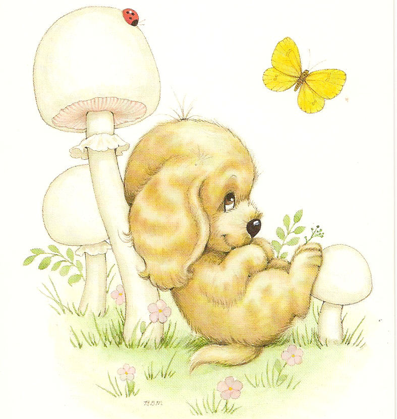 pupy