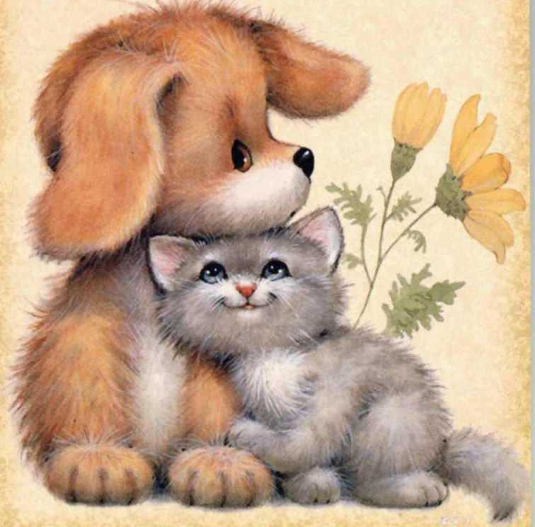 pupy