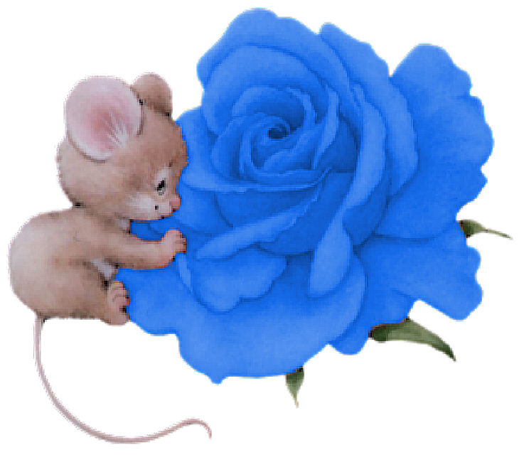 ratoncito