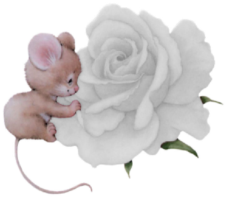 ratoncito