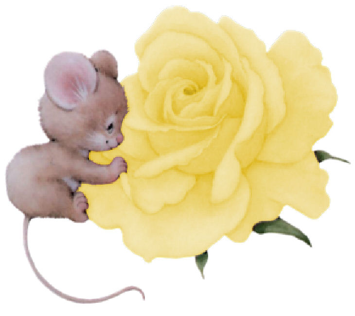 ratoncito