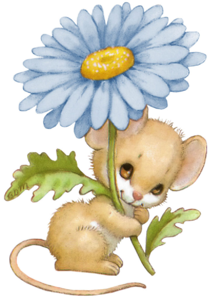 ratoncito x
