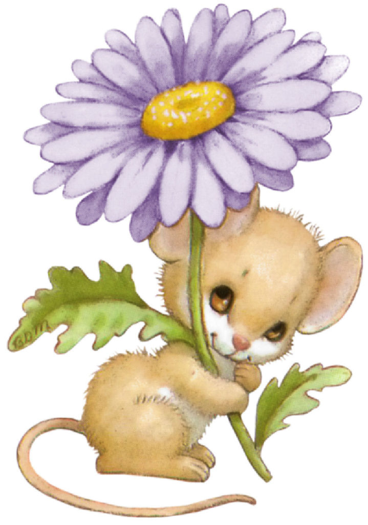 ratoncito x