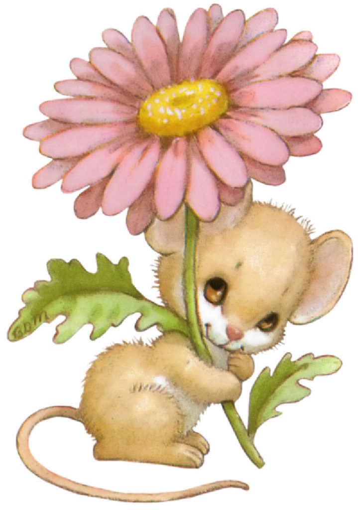 ratoncito x