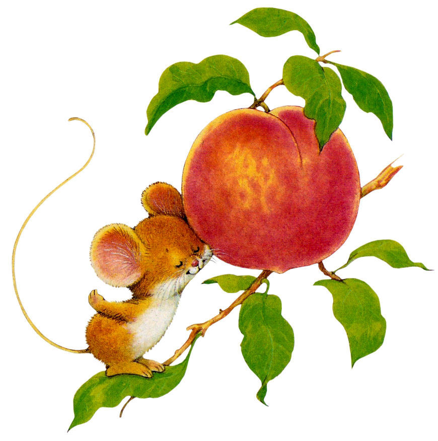 ratoncito