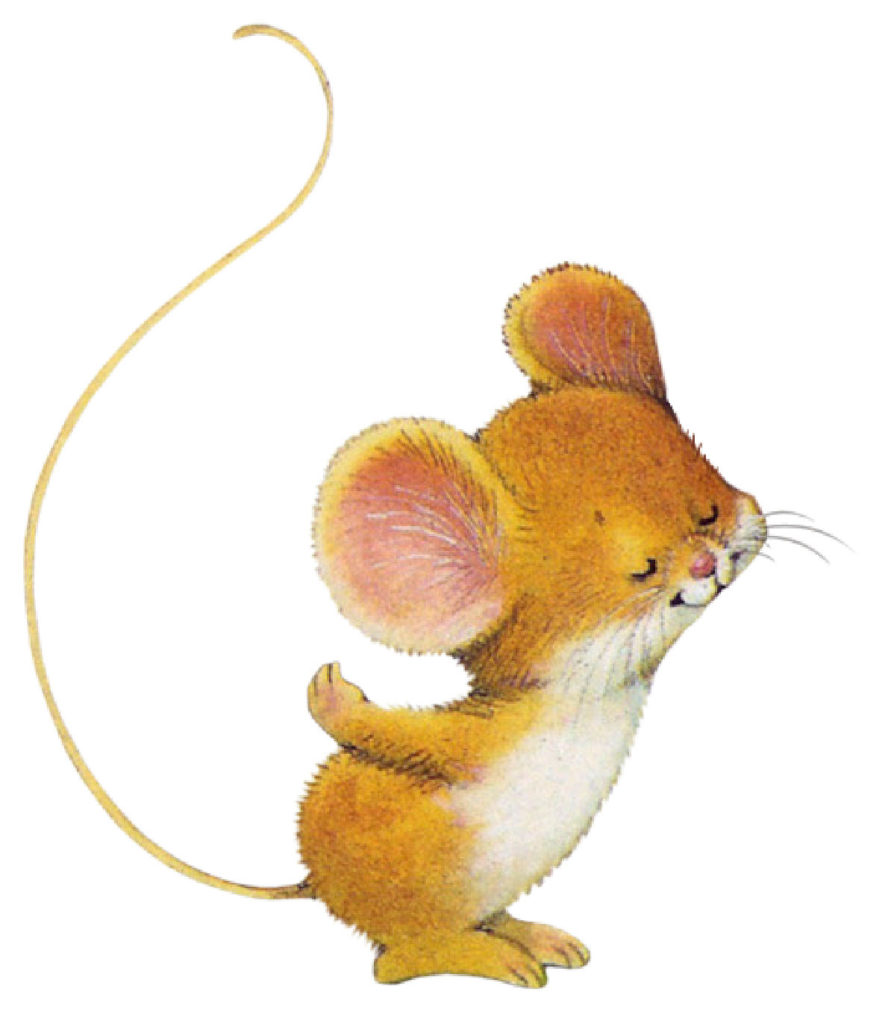 ratoncito x