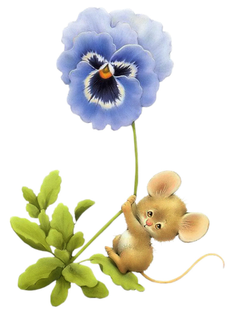 ratoncito x