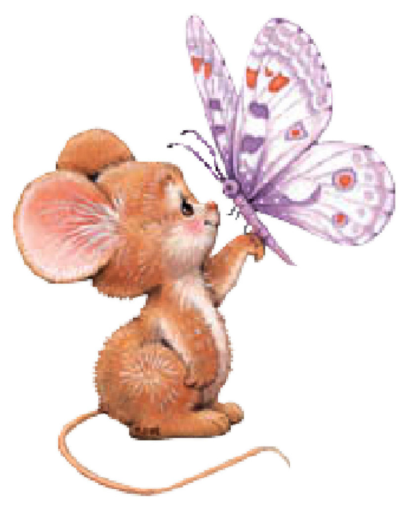 ratoncito x