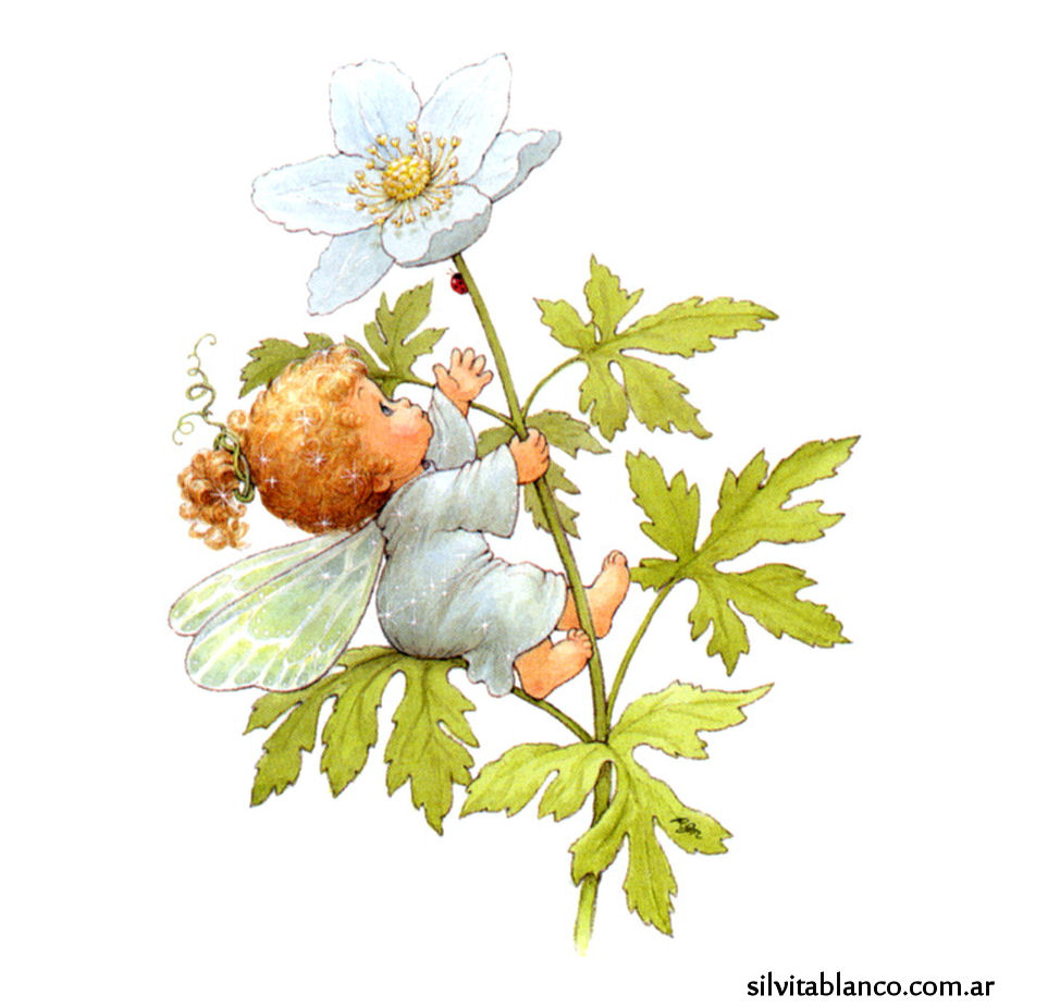BlossomTot
