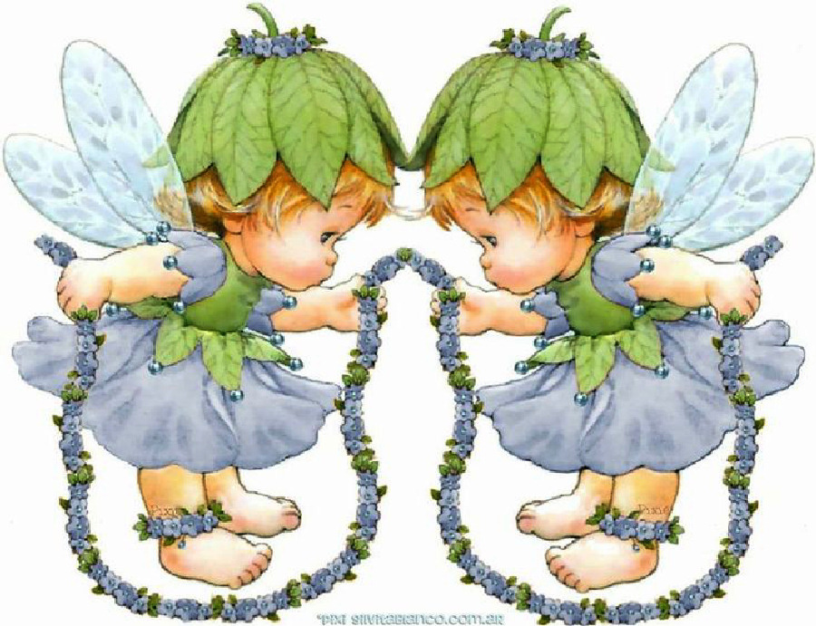 Little Fairy