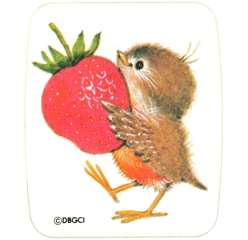 DBGCIstickersRMBirdsmm x