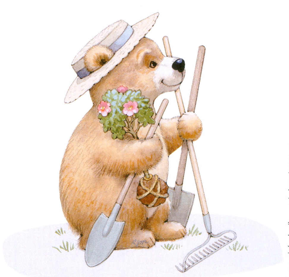 Working bear