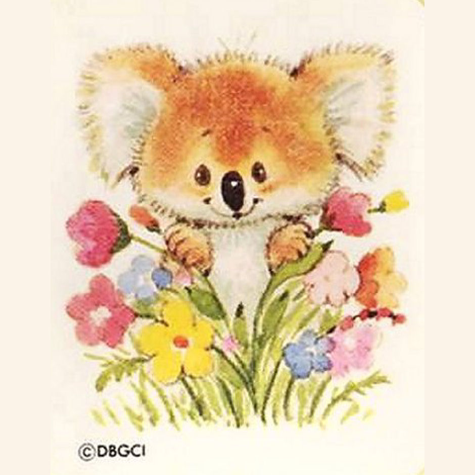 flower koala