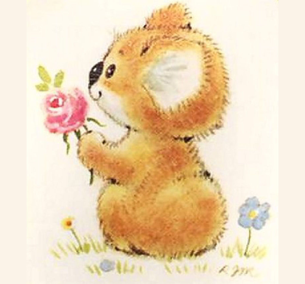 flower koala x
