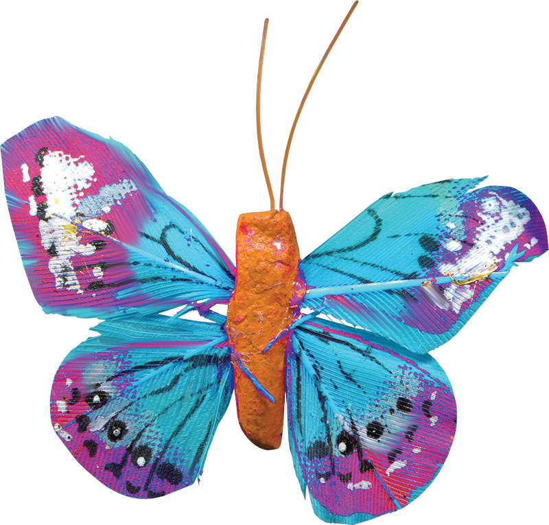 mariposa