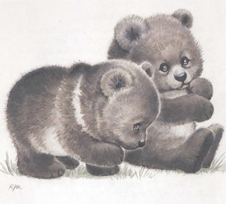 rmendangeredbabygrizzlybearseunice