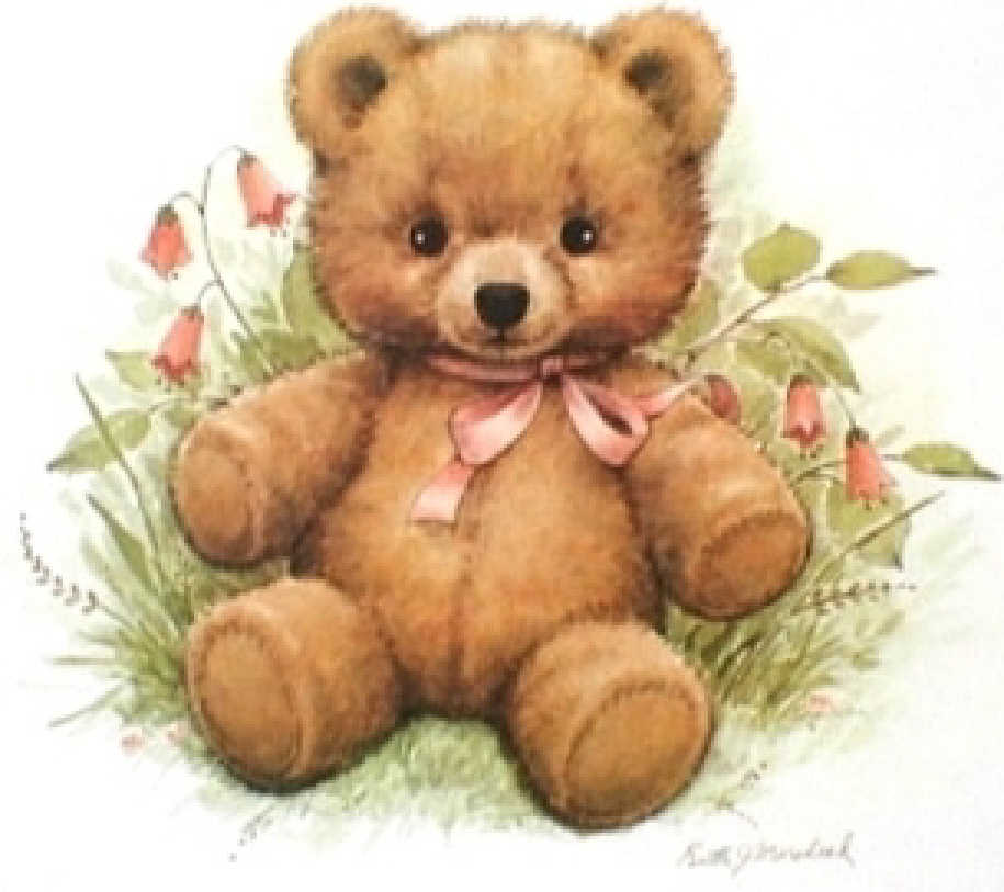 rmteddyinpinkflowers