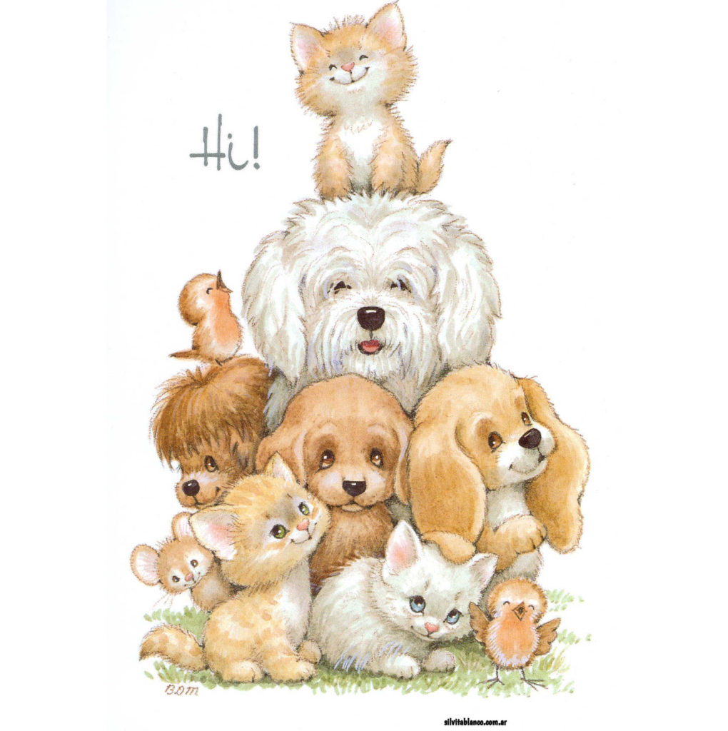 BDMAnimalsmm x