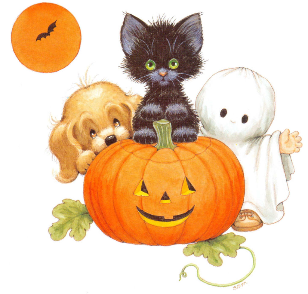 BDMHalloweenchilddisguisedghostandpumpkinkittenpuppymm x