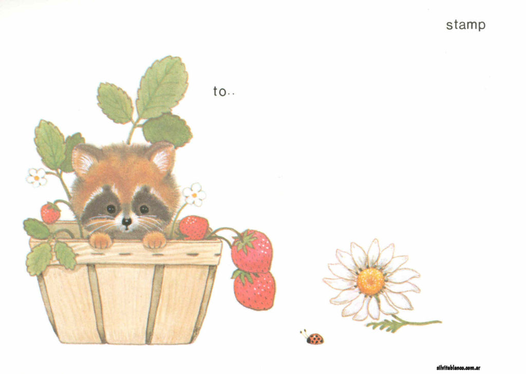 BDMStationeryPostcardraccoonmm x