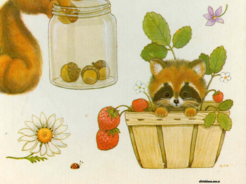 BDMStationerycoverraccoonmm  x