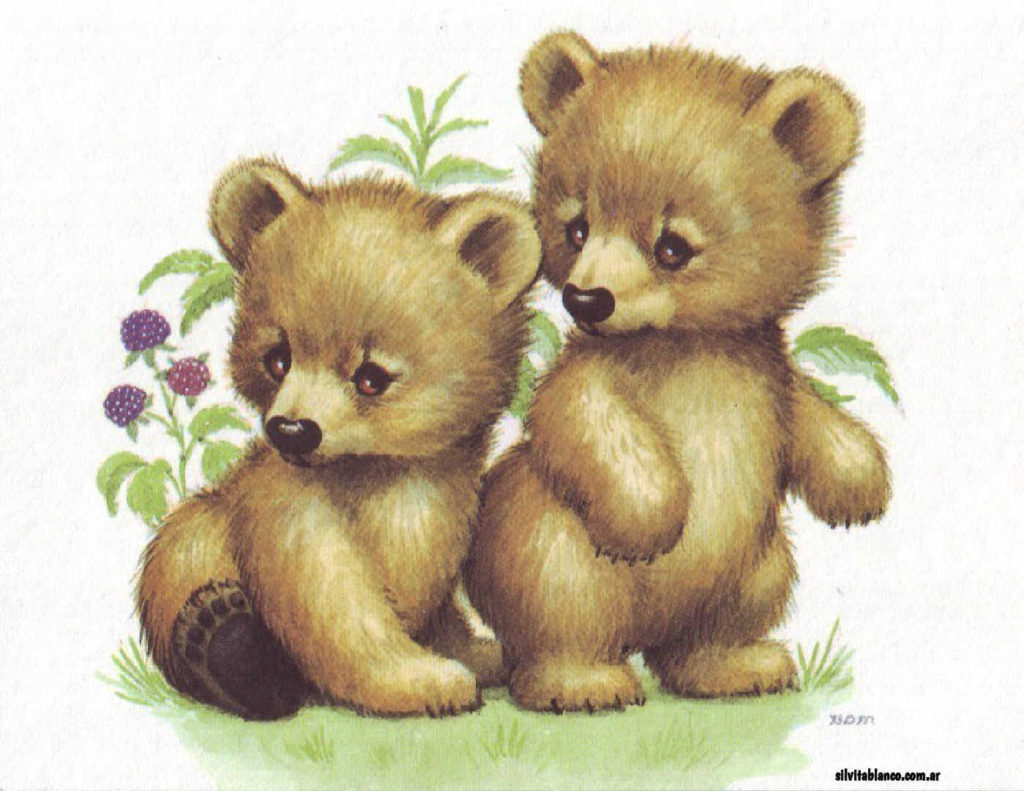 BDMTeddies x