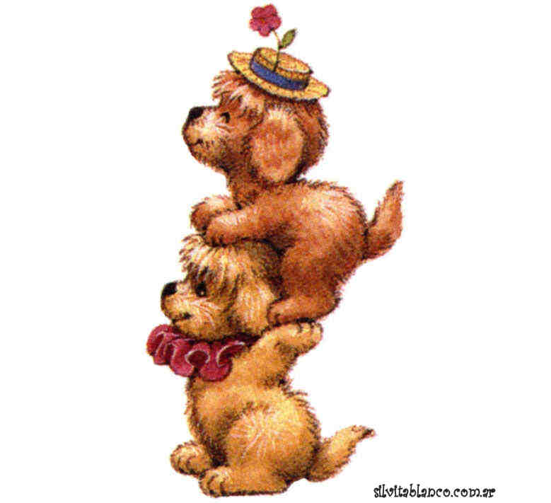 CircusDogs