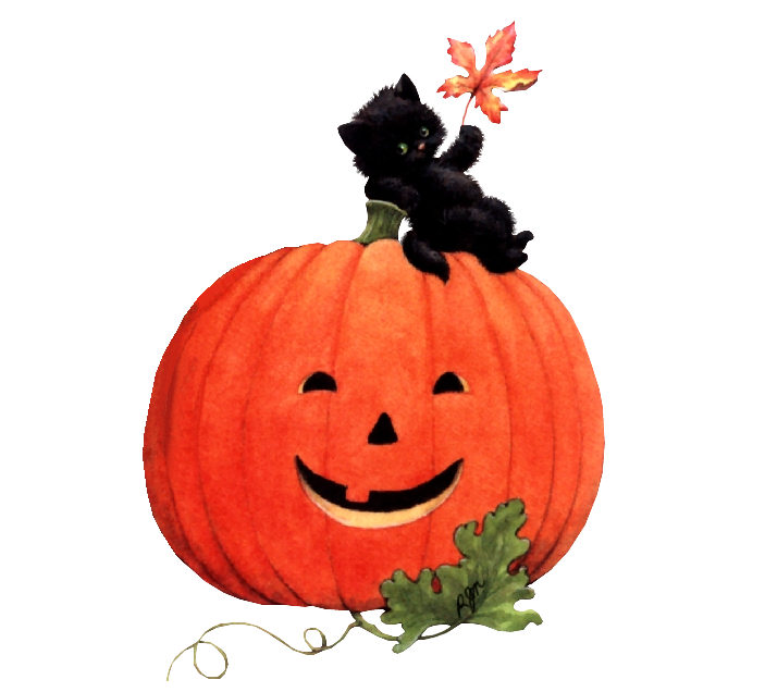 Halloween cats