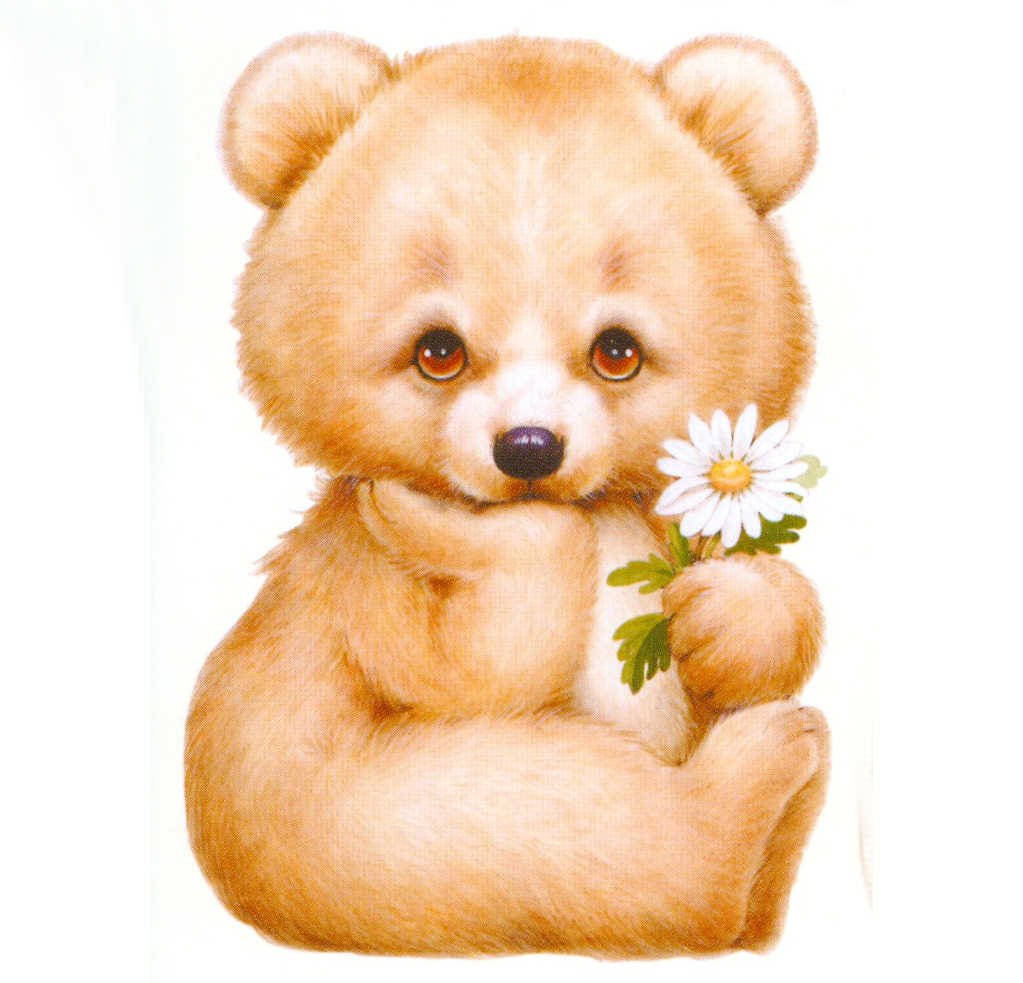 Cute Bears