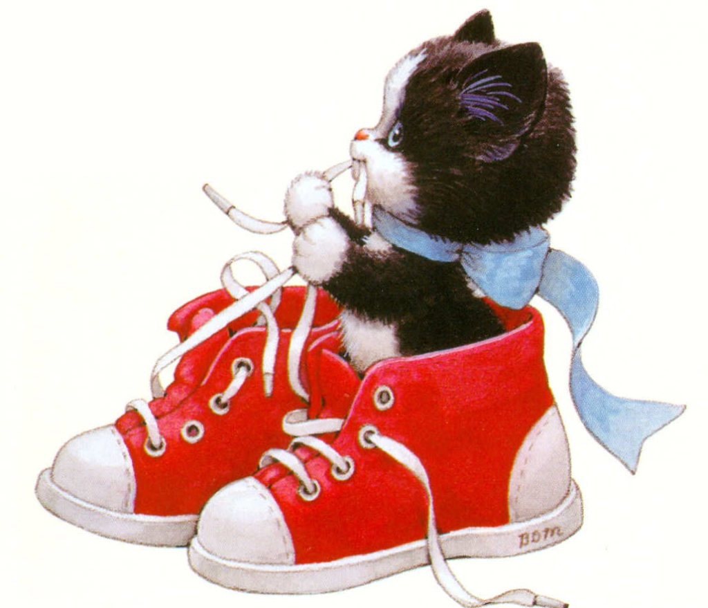 Cute kitty
