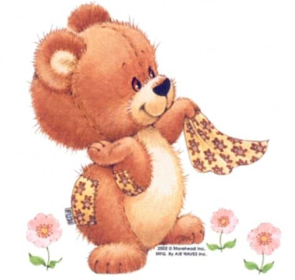 MHdRagTagTeddywithHankyjsc