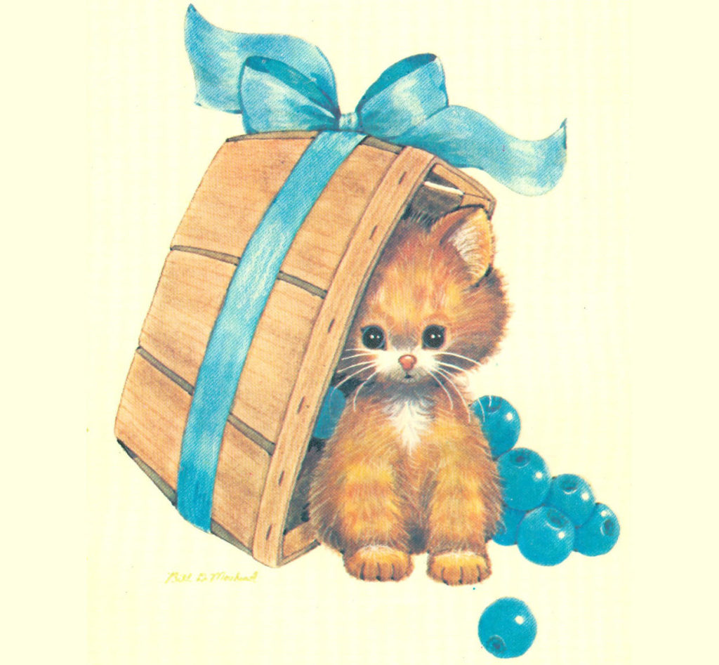 Little animals
