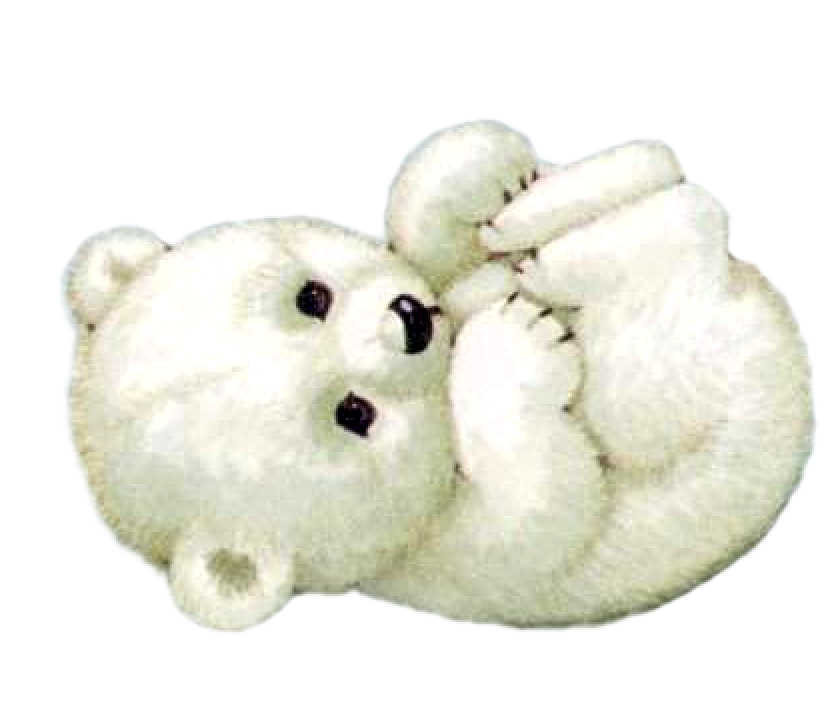 POLORBEARNM